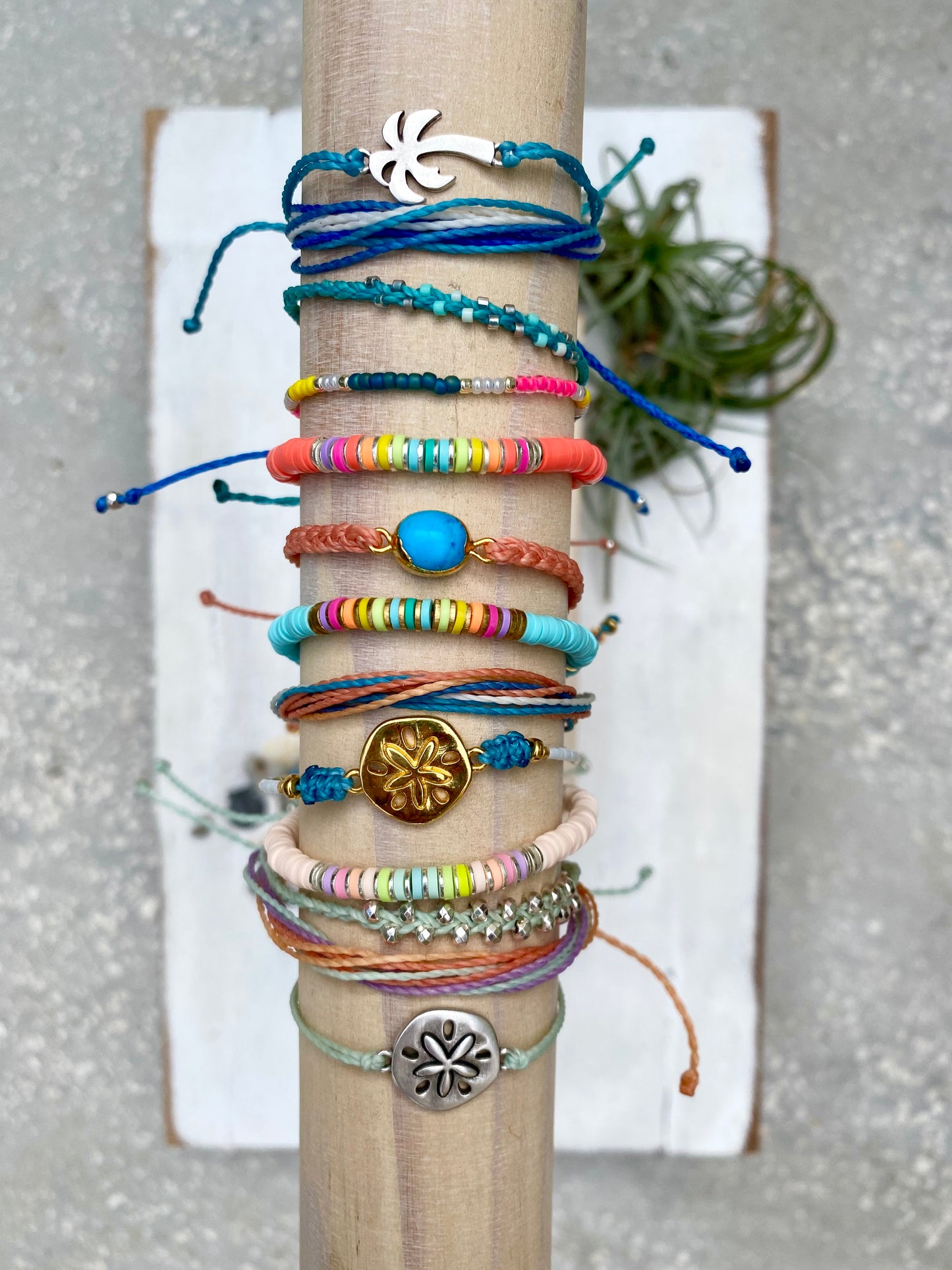 Sand dollar bracelet