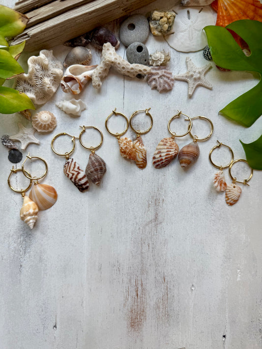 Mismatched Seashell Hoop Earrings | Hand Collected Beach Shells | 18K Gold Plated Hoops