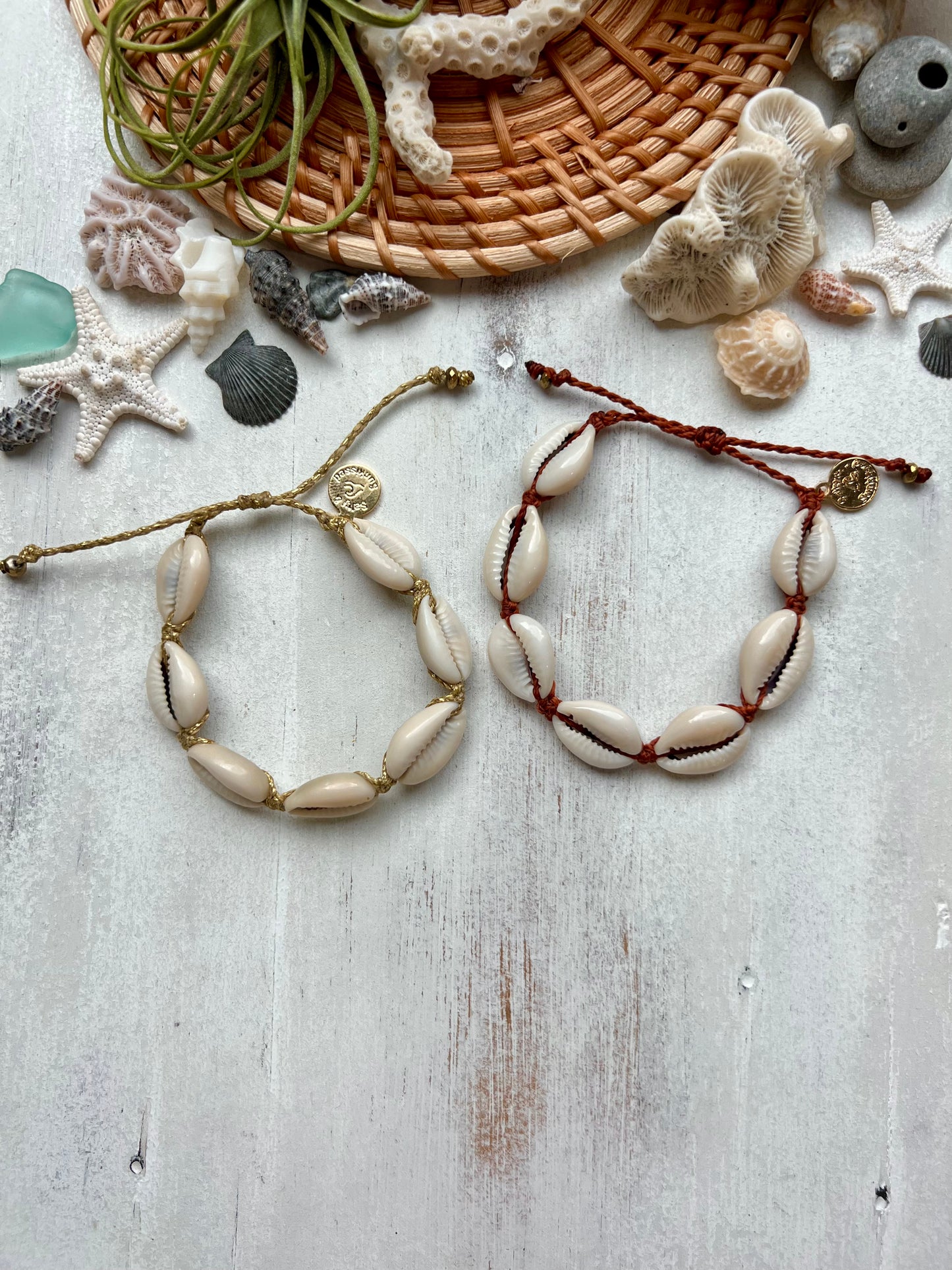 Cowrie Shell Bracelet