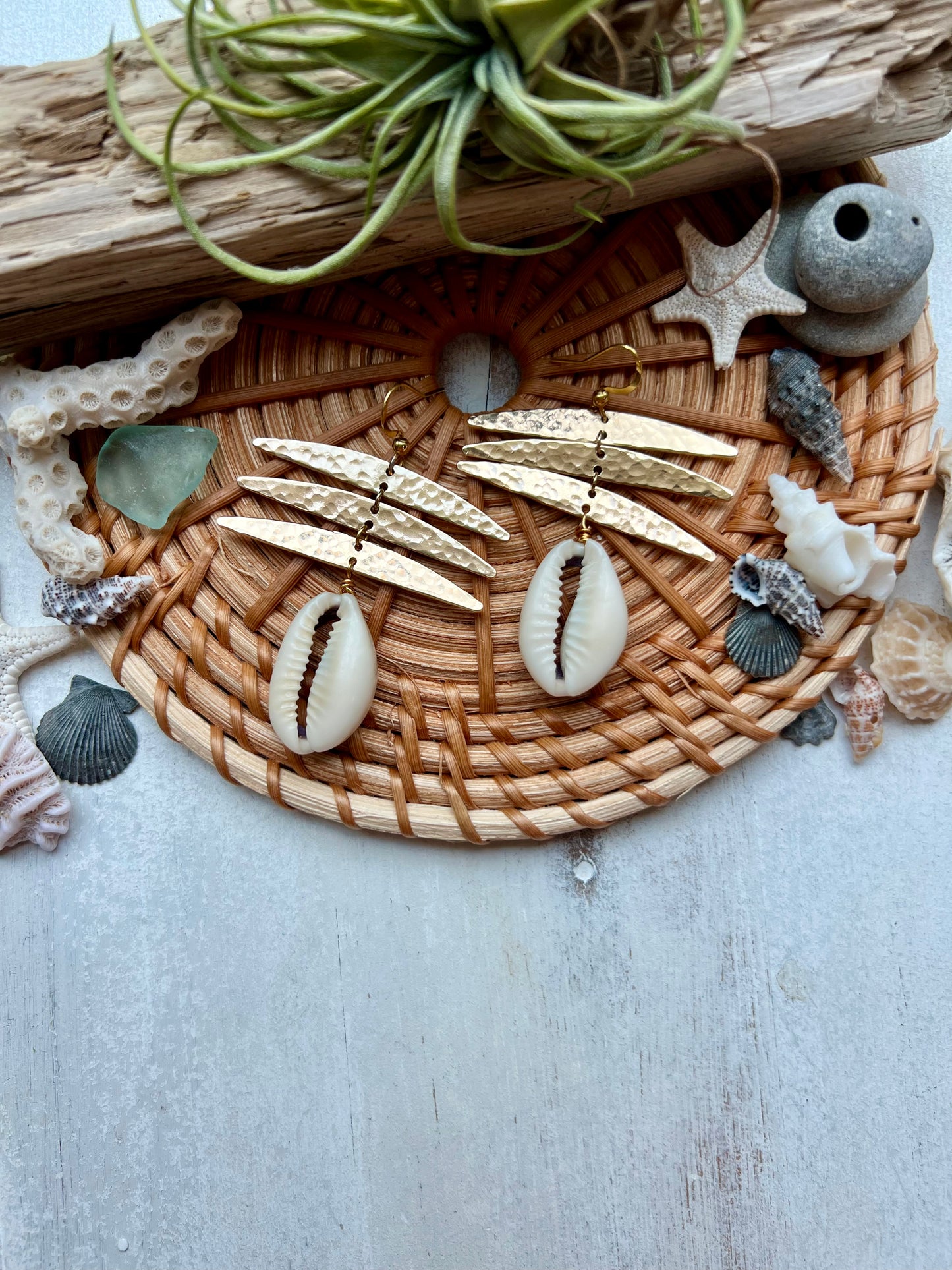 Cowrie shell & Hammered Geometric earrings