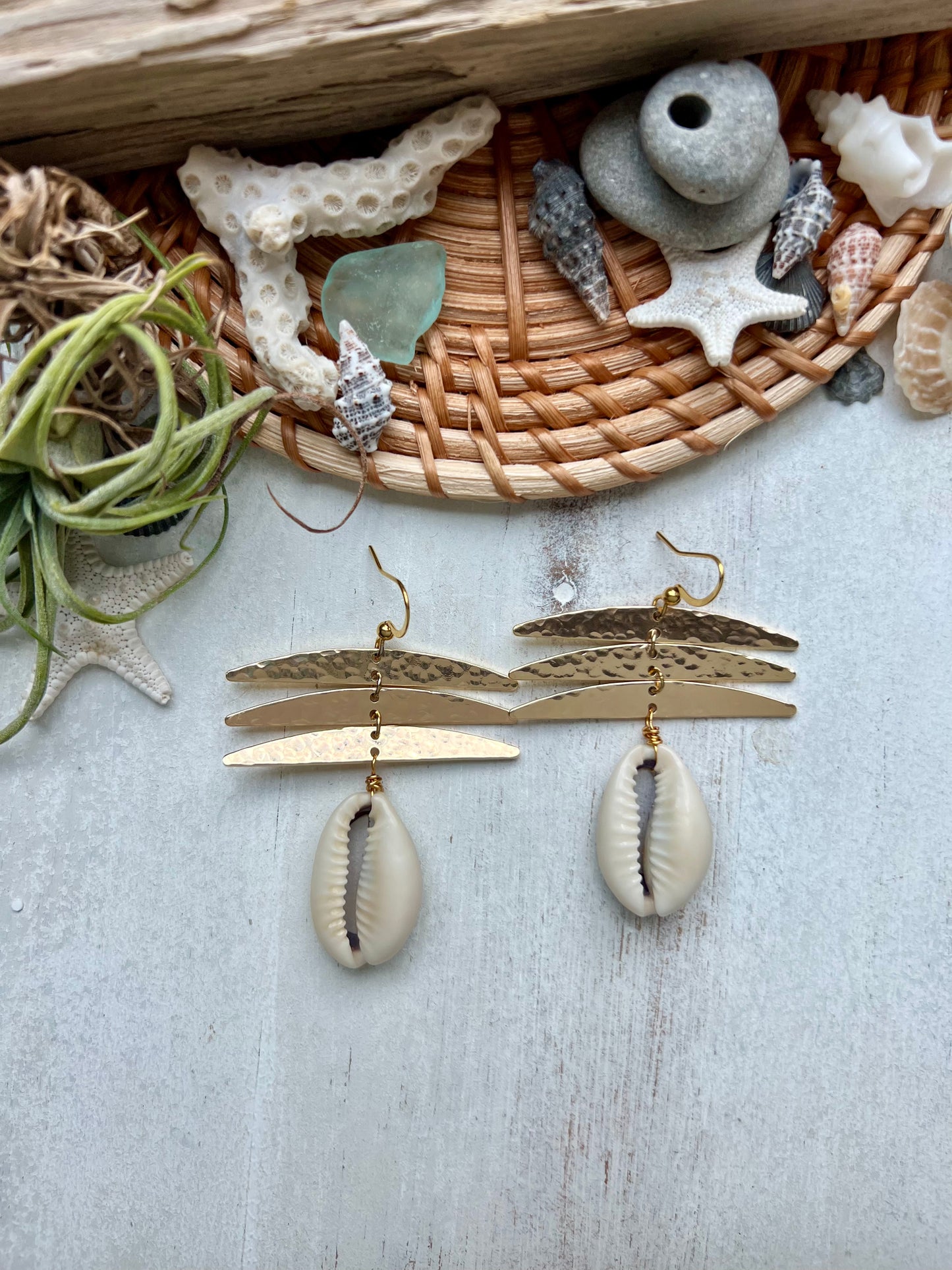 Cowrie shell & Hammered Geometric earrings