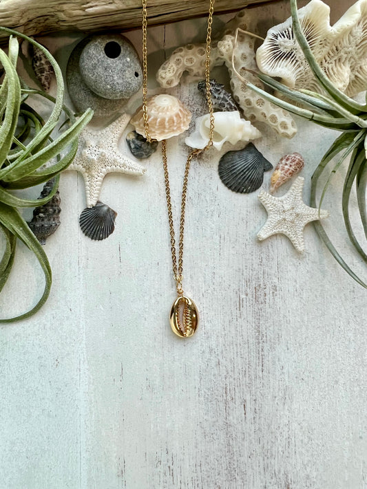 18K Gold plated cowrie shell necklace