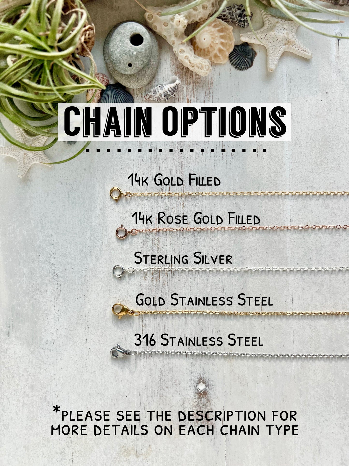 Zebra shell necklace