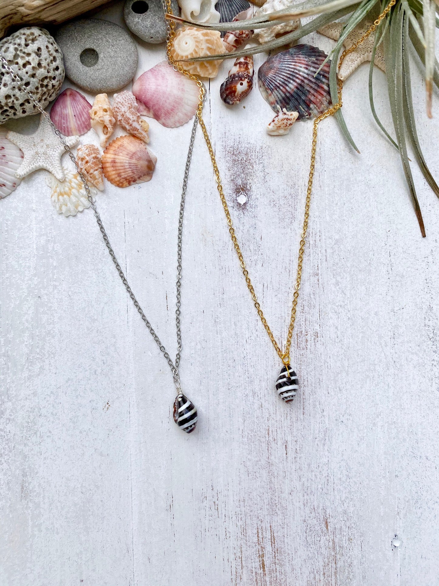 Zebra shell necklace