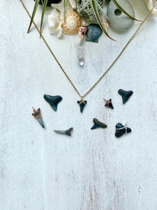 Fossilized shark tooth necklace