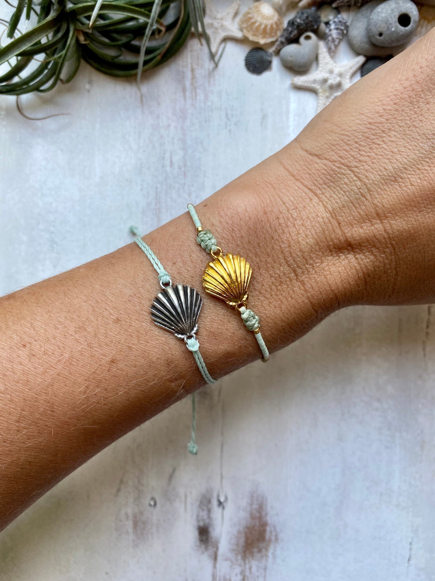 Waxed cord Clam shell bracelet