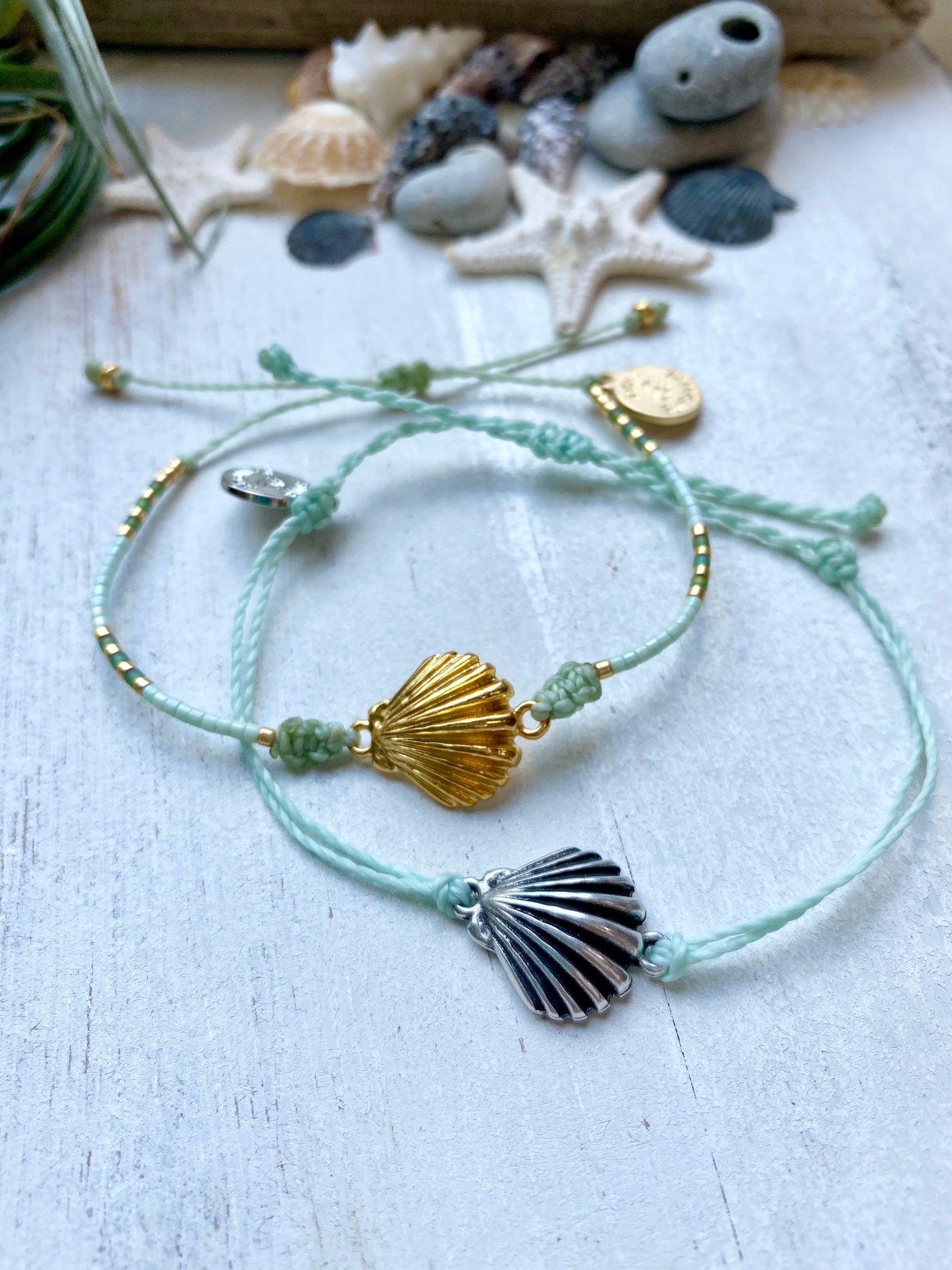 Waxed cord Clam shell bracelet