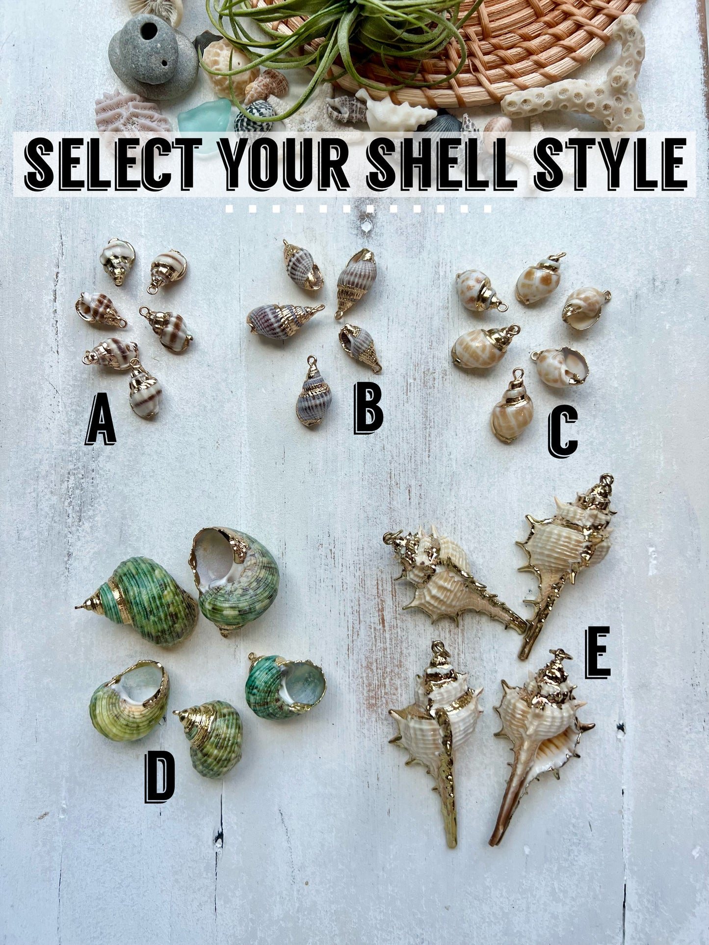 Gold Plated Seashell Necklace
