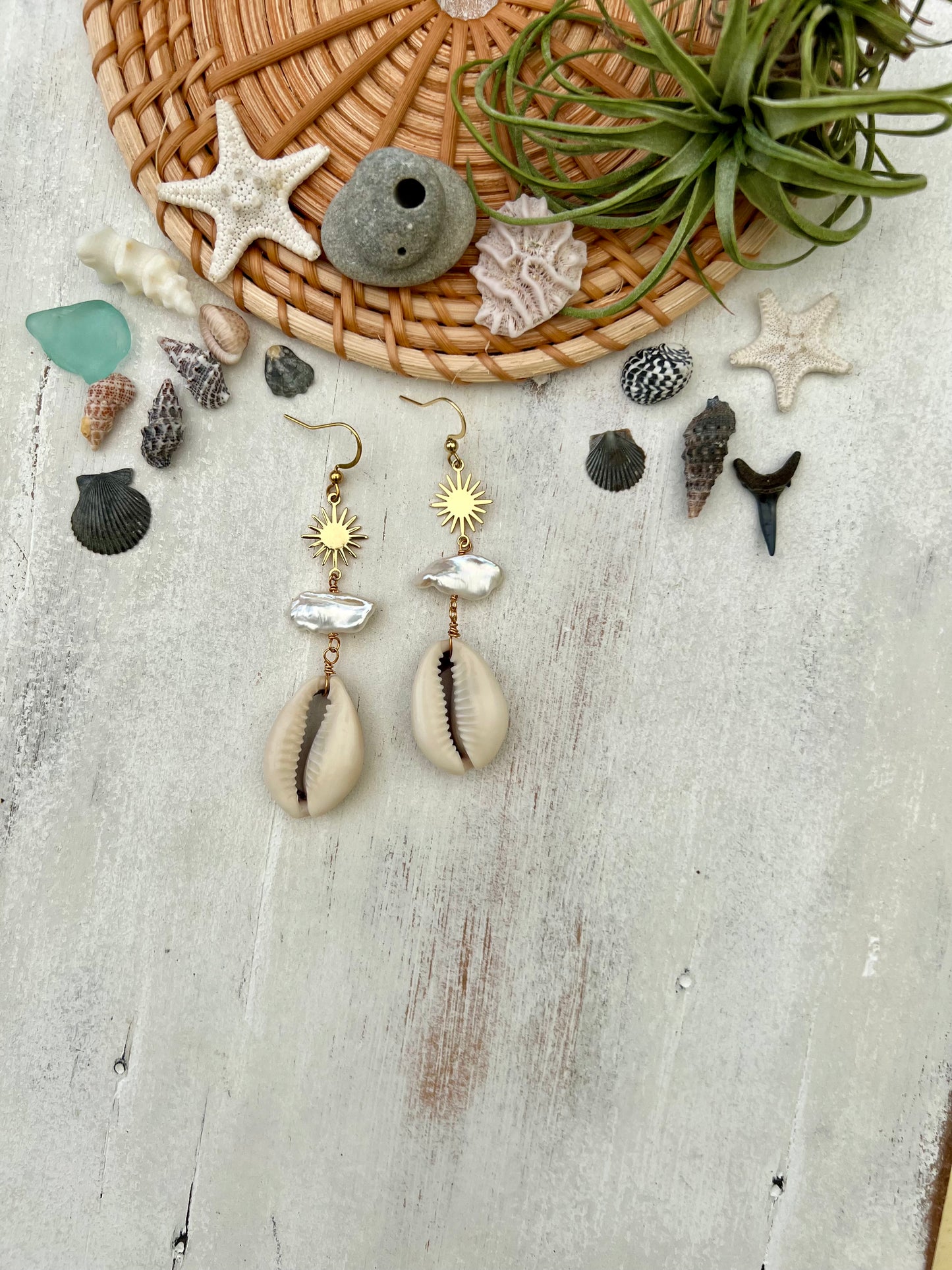 Cowrie shell, Pearl & Sun Earrings