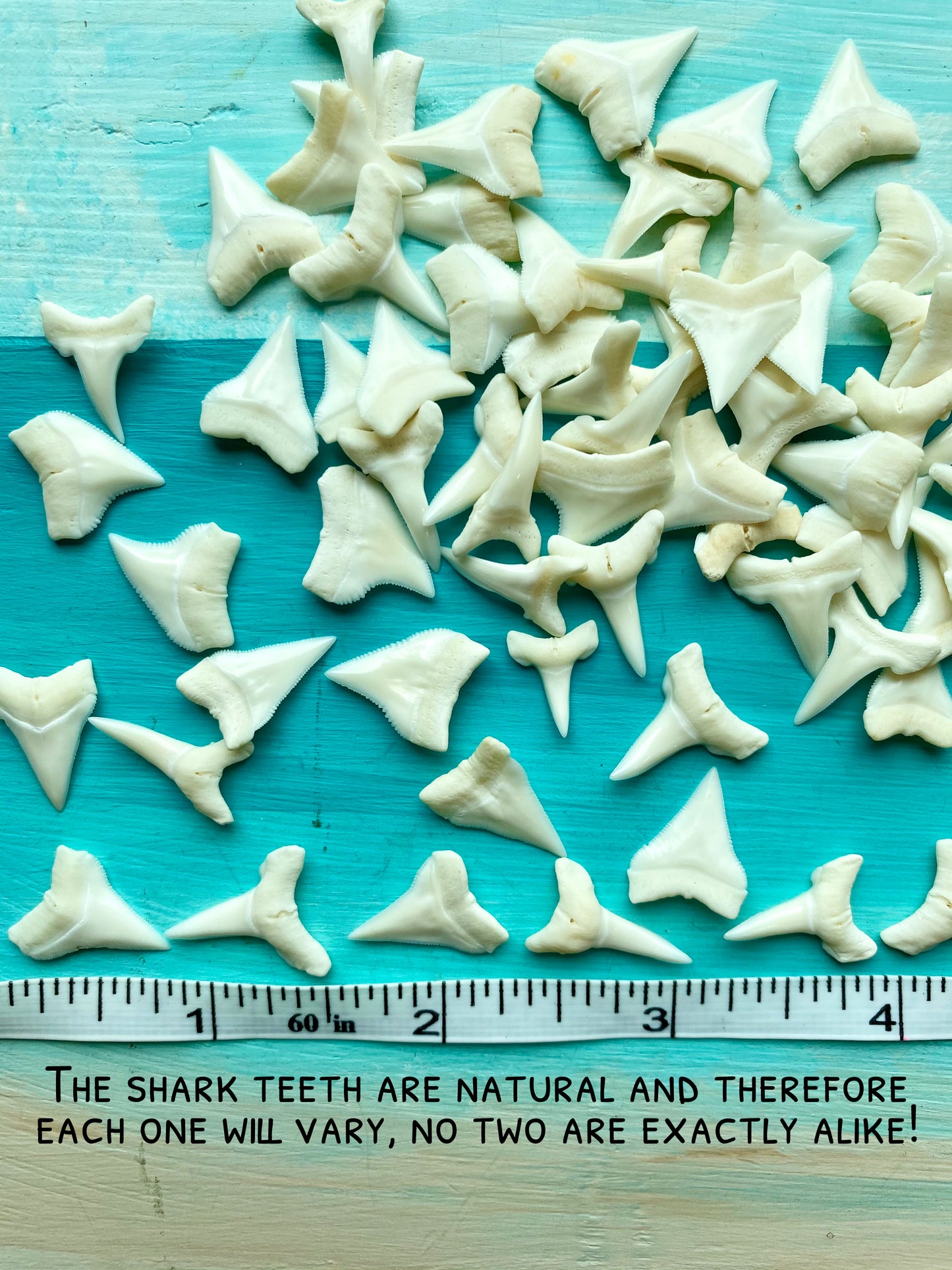 Boys Shark Tooth Necklace