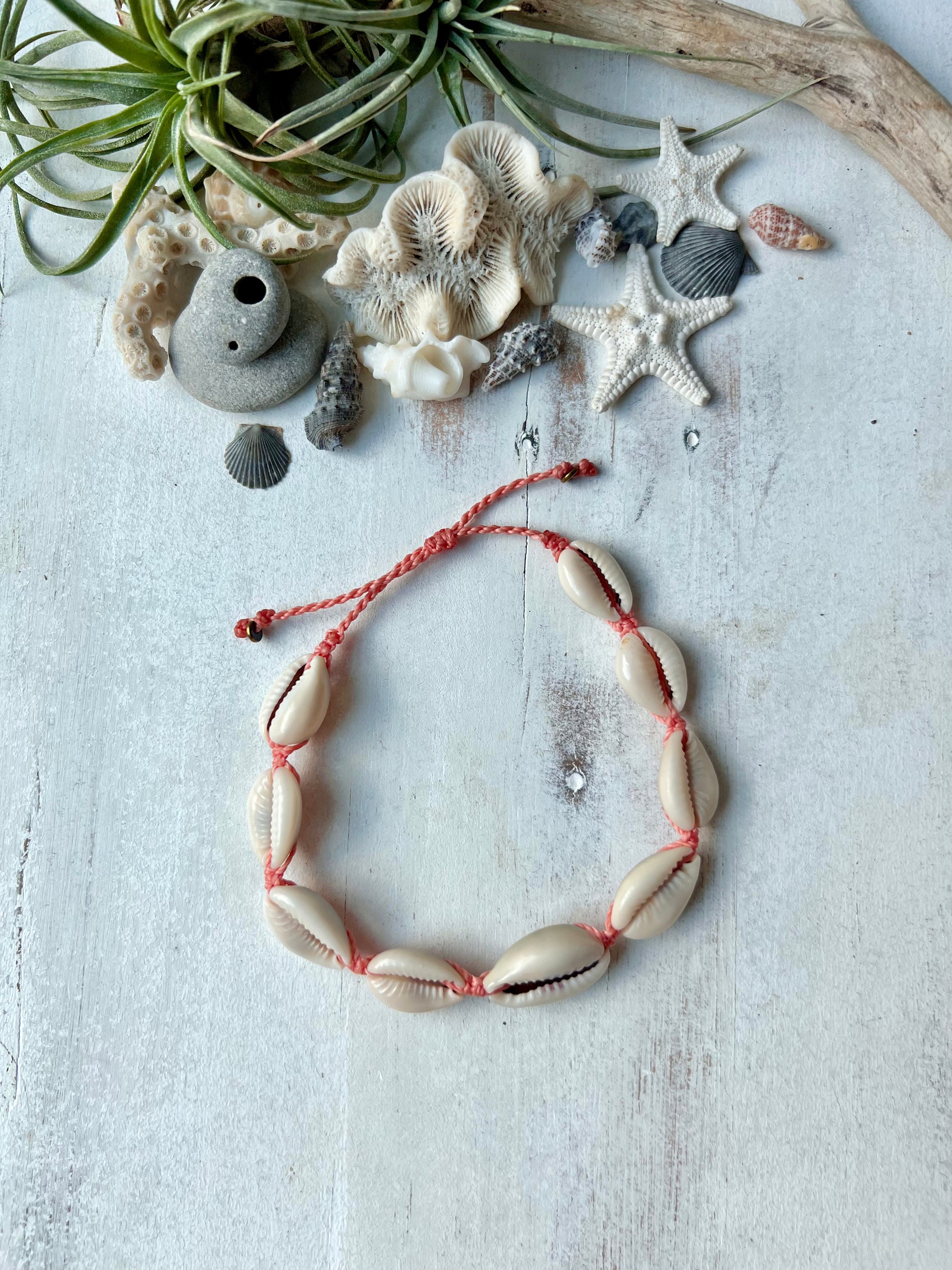 a cowrie shell anklet laying on a white background with sea shells, starfish and driftwood surrounding it. the beach inspired anklet has 9 cowrie shells on coral colored waxed cord