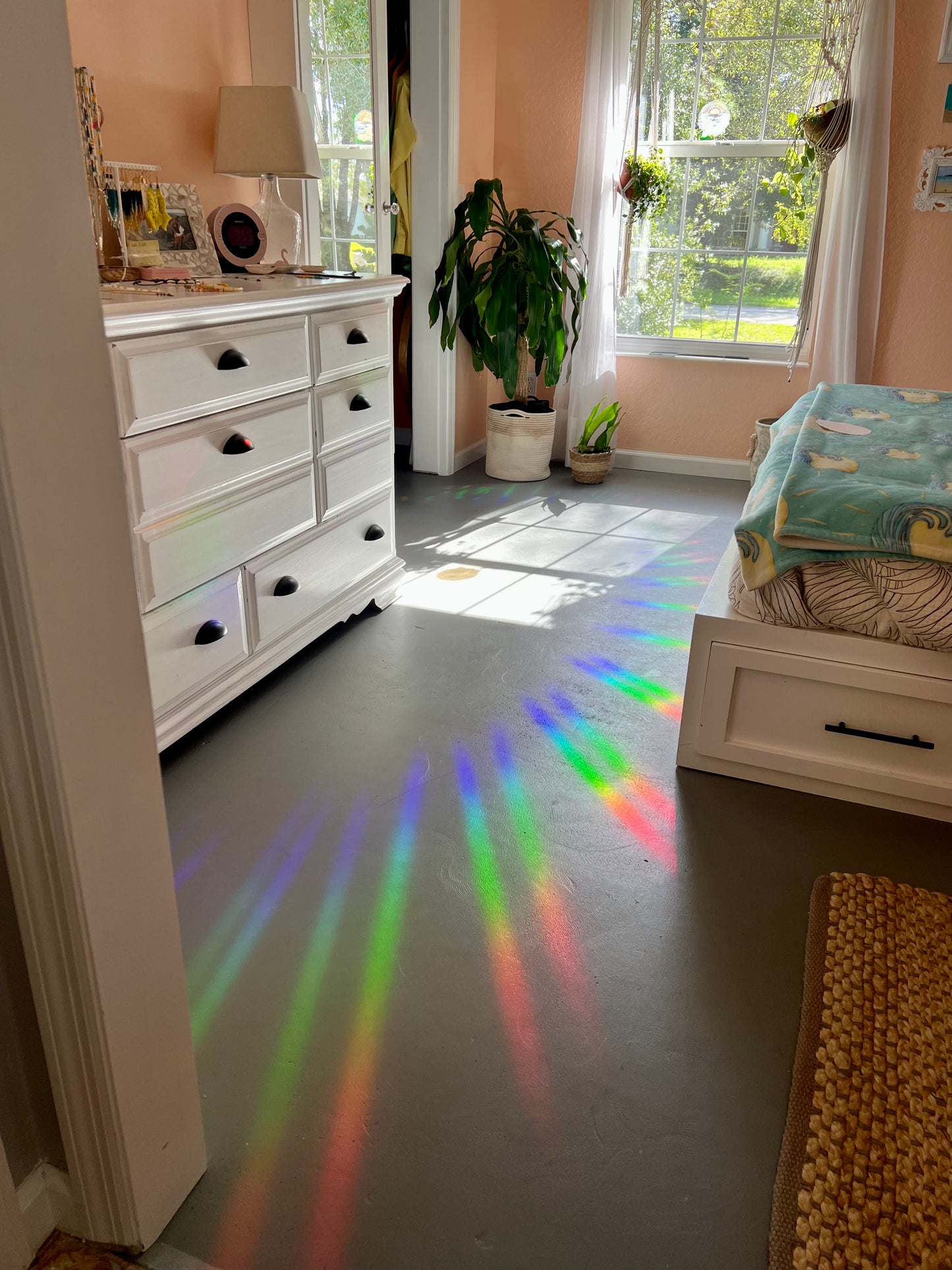 Salty & Sunkissed Logo Suncatcher / Rainbow maker decal