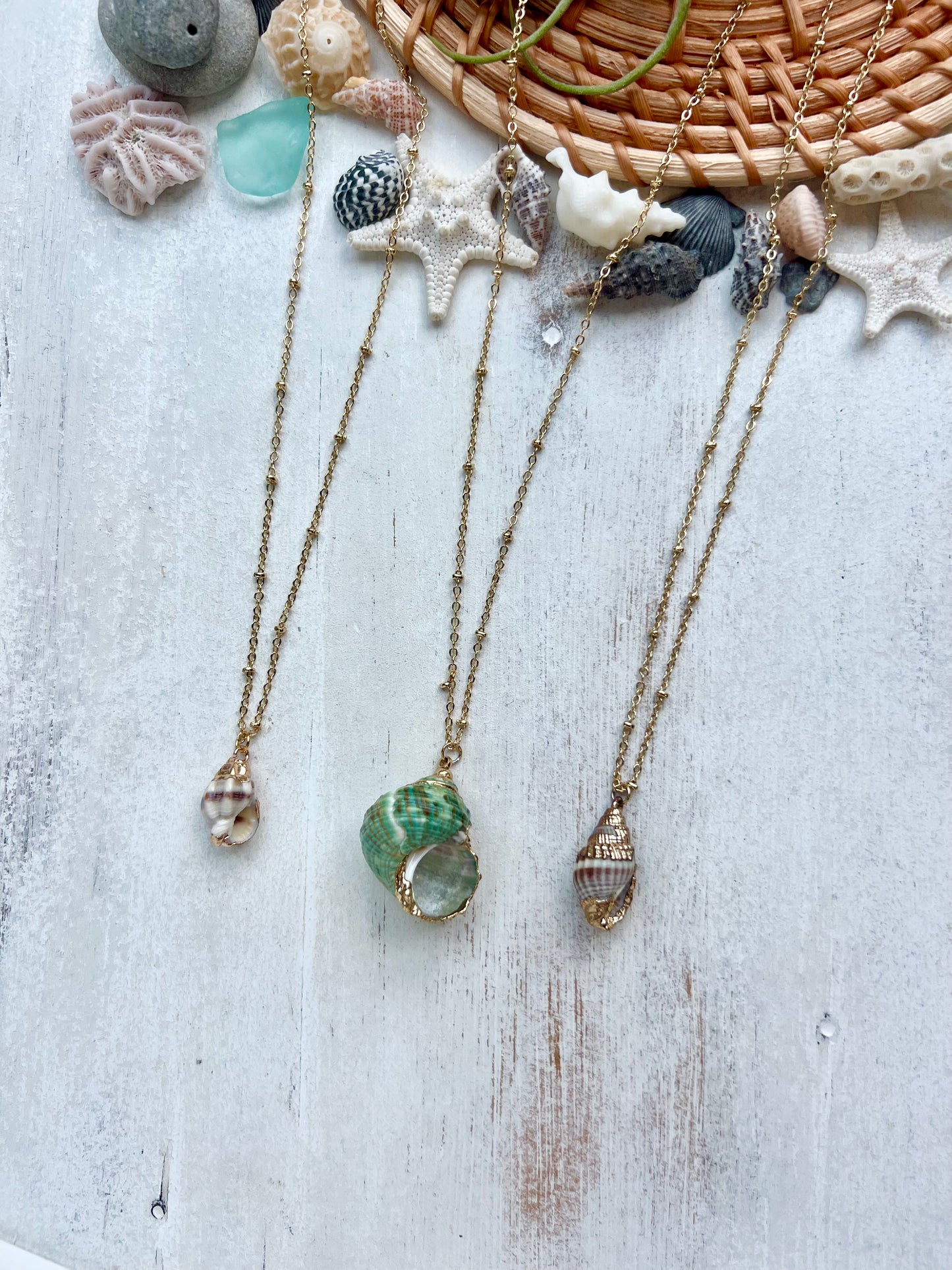 Gold Plated Seashell Necklace