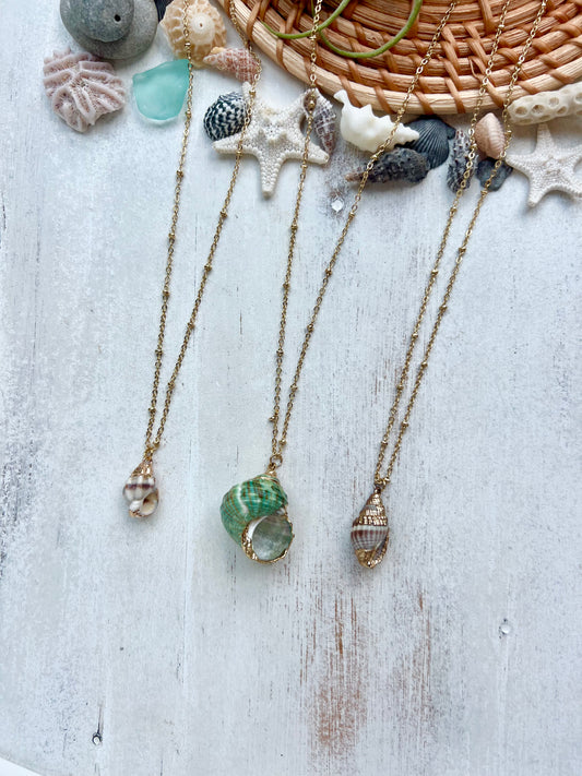 Gold Plated Seashell Necklace