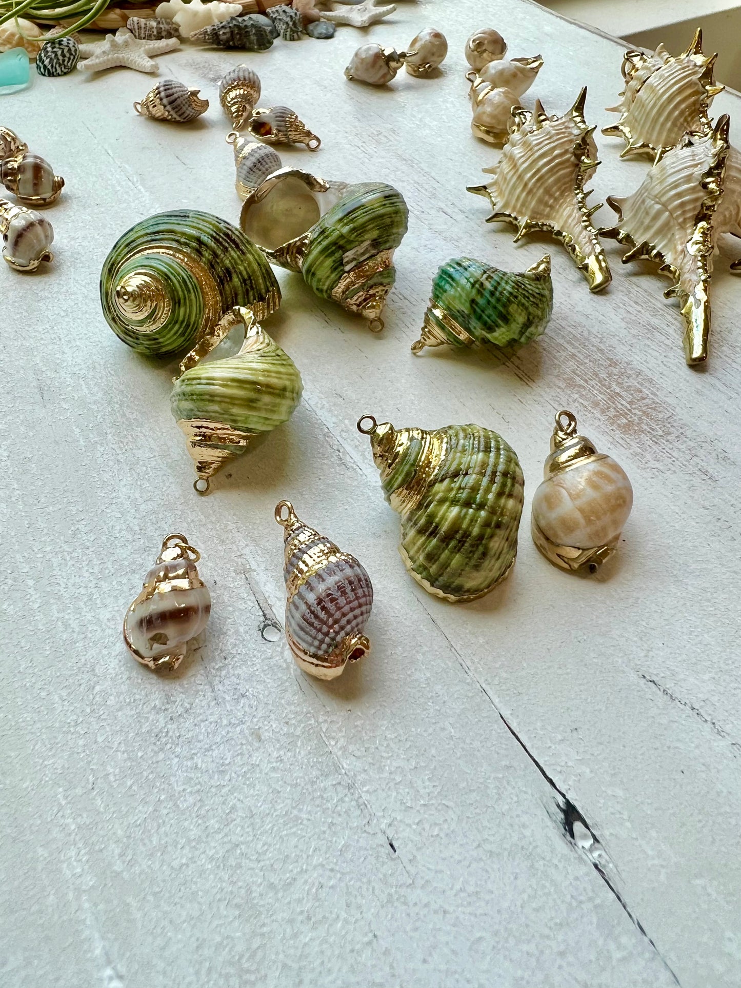 Gold Plated Seashell Necklace