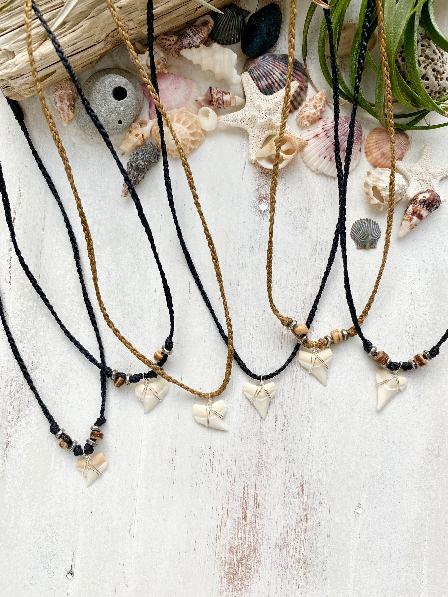 Boys Shark Tooth Necklace