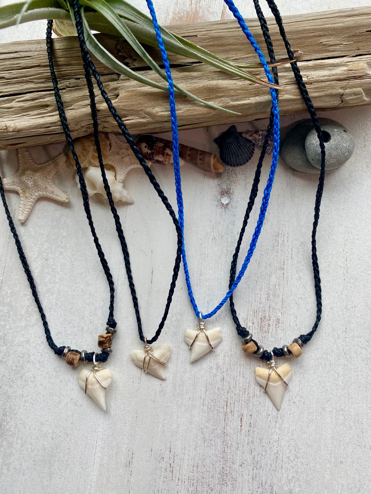 Boys Shark Tooth Necklace