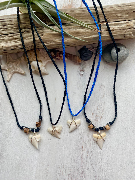 Boys Shark Tooth Necklace