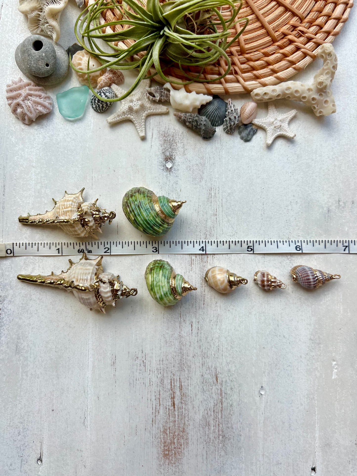 Gold Plated Seashell Necklace