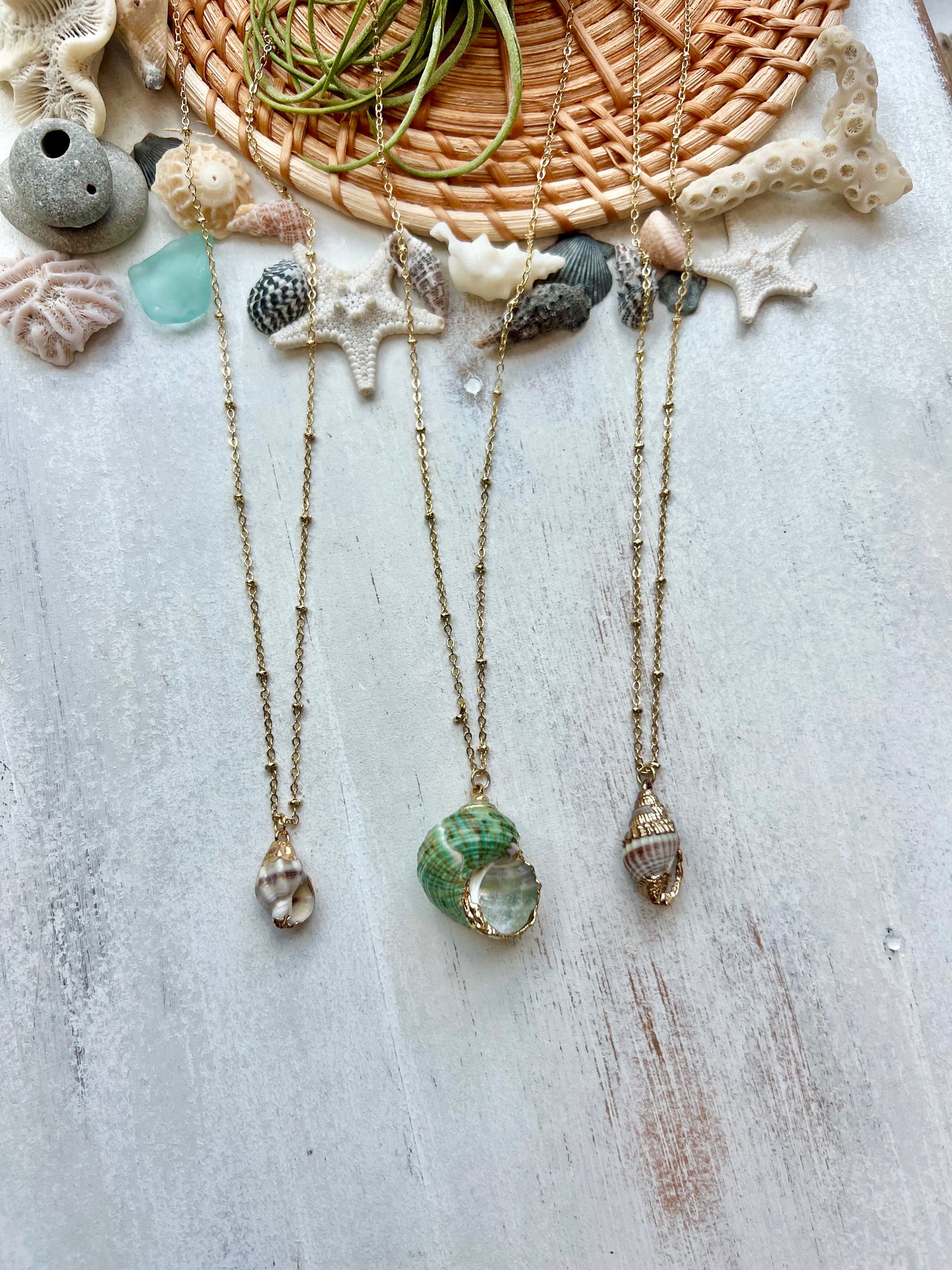Gold Plated Seashell Necklace