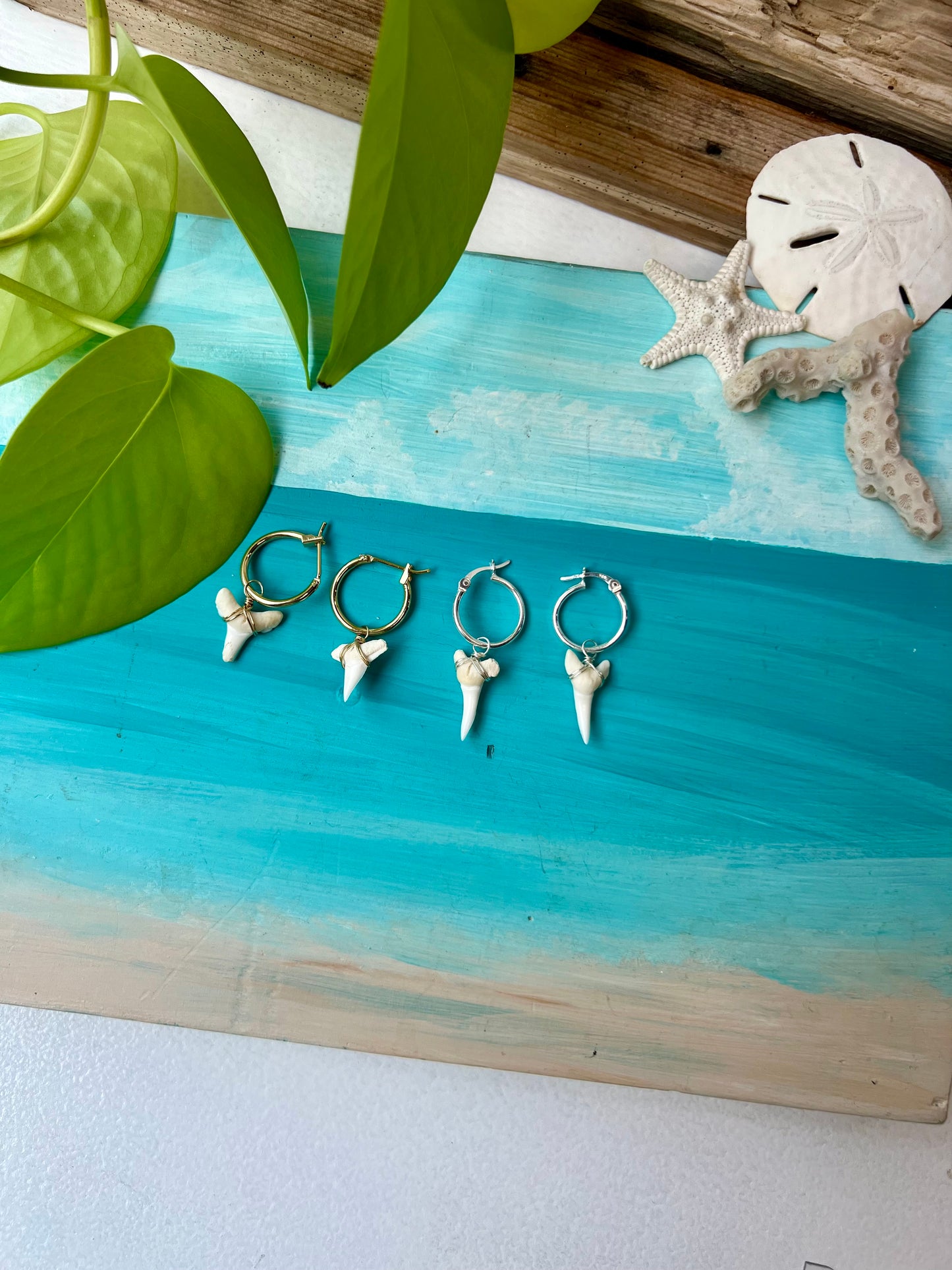 Shark Tooth Necklace & Earrings Set