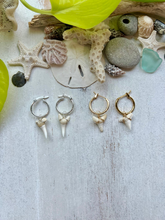 Shark Tooth or Cowrie Shell Huggie Hoop Earrings