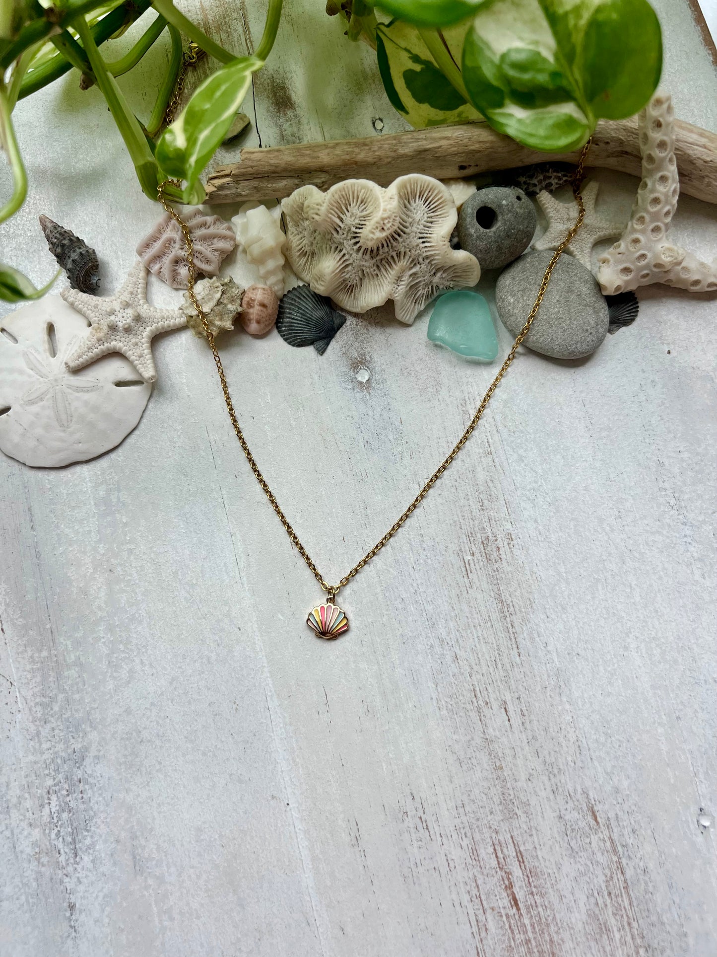 Pastel Sea Shell necklace