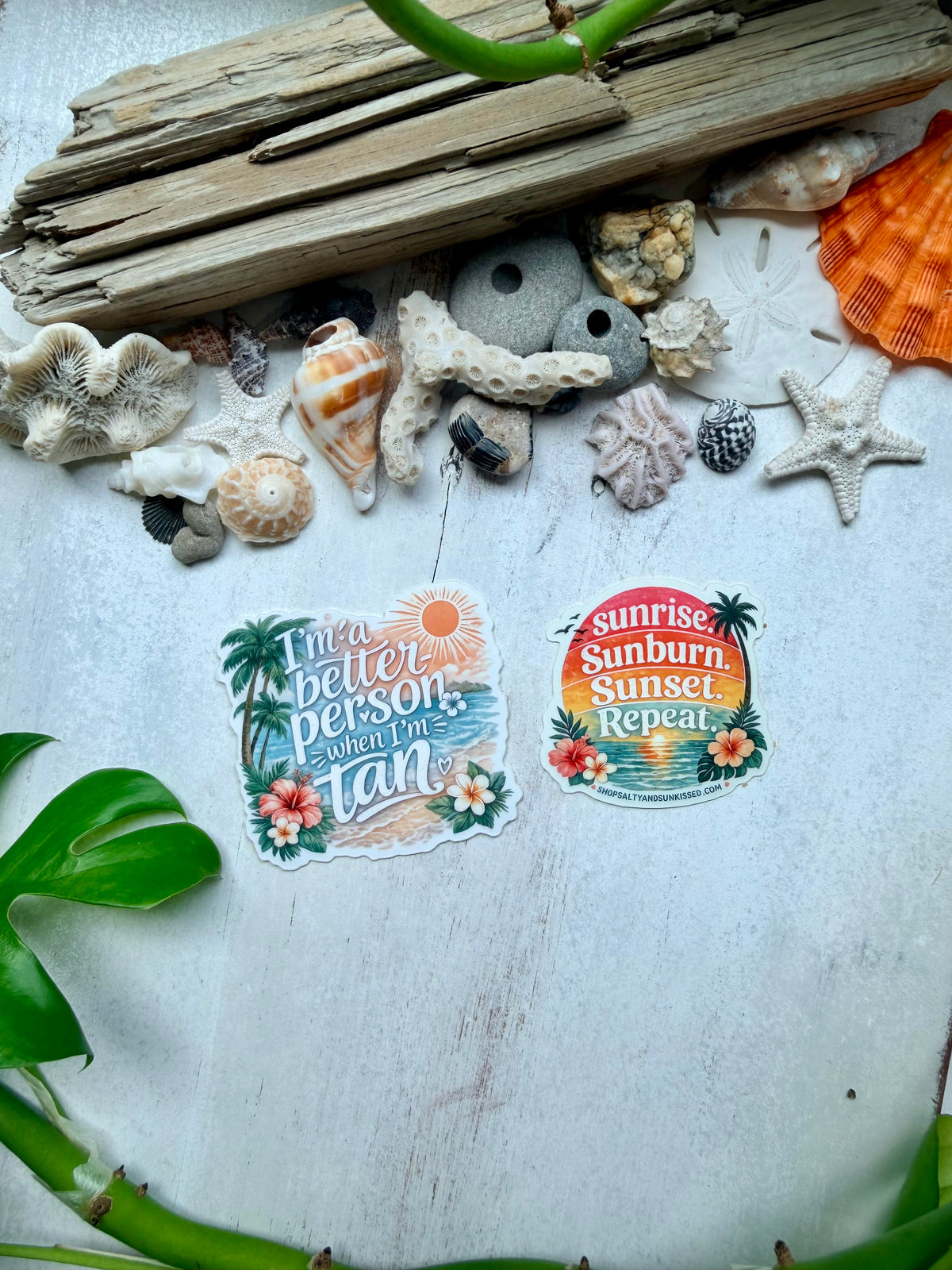 Better When I’m Tan || Sunrise Sunburn Sunset Repeat || Waterproof Stickers