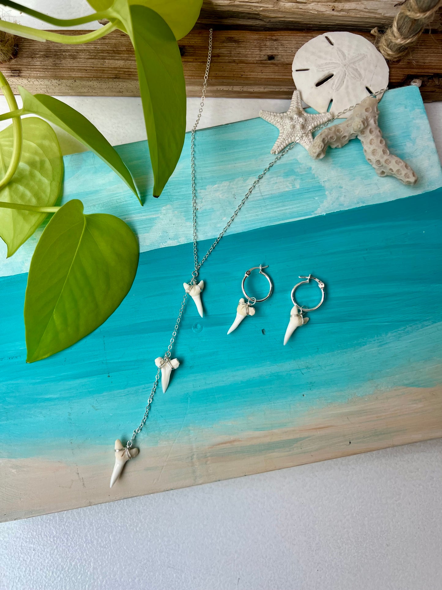 Shark Tooth Necklace & Earrings Set