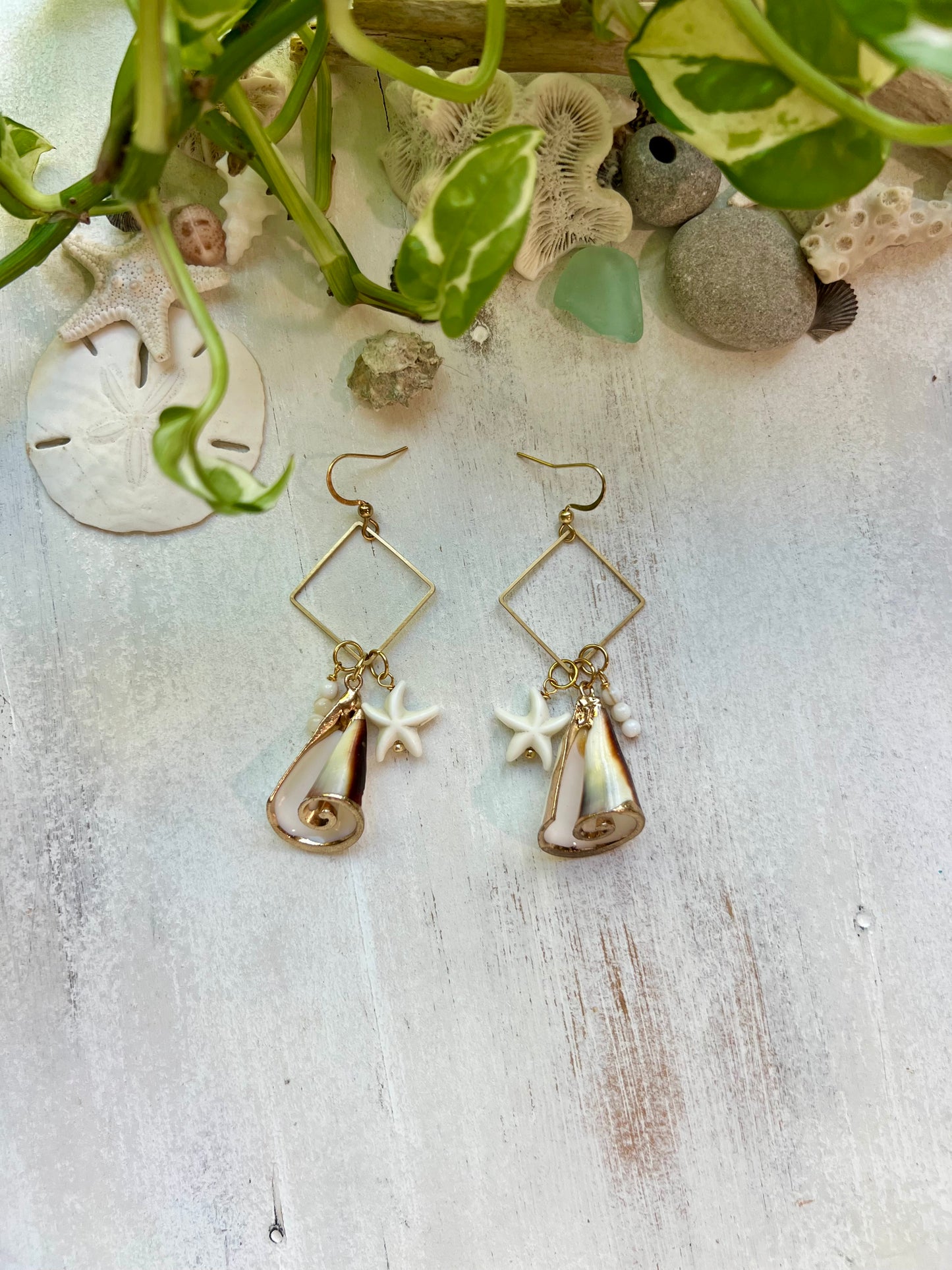 Cone Shell Earrings