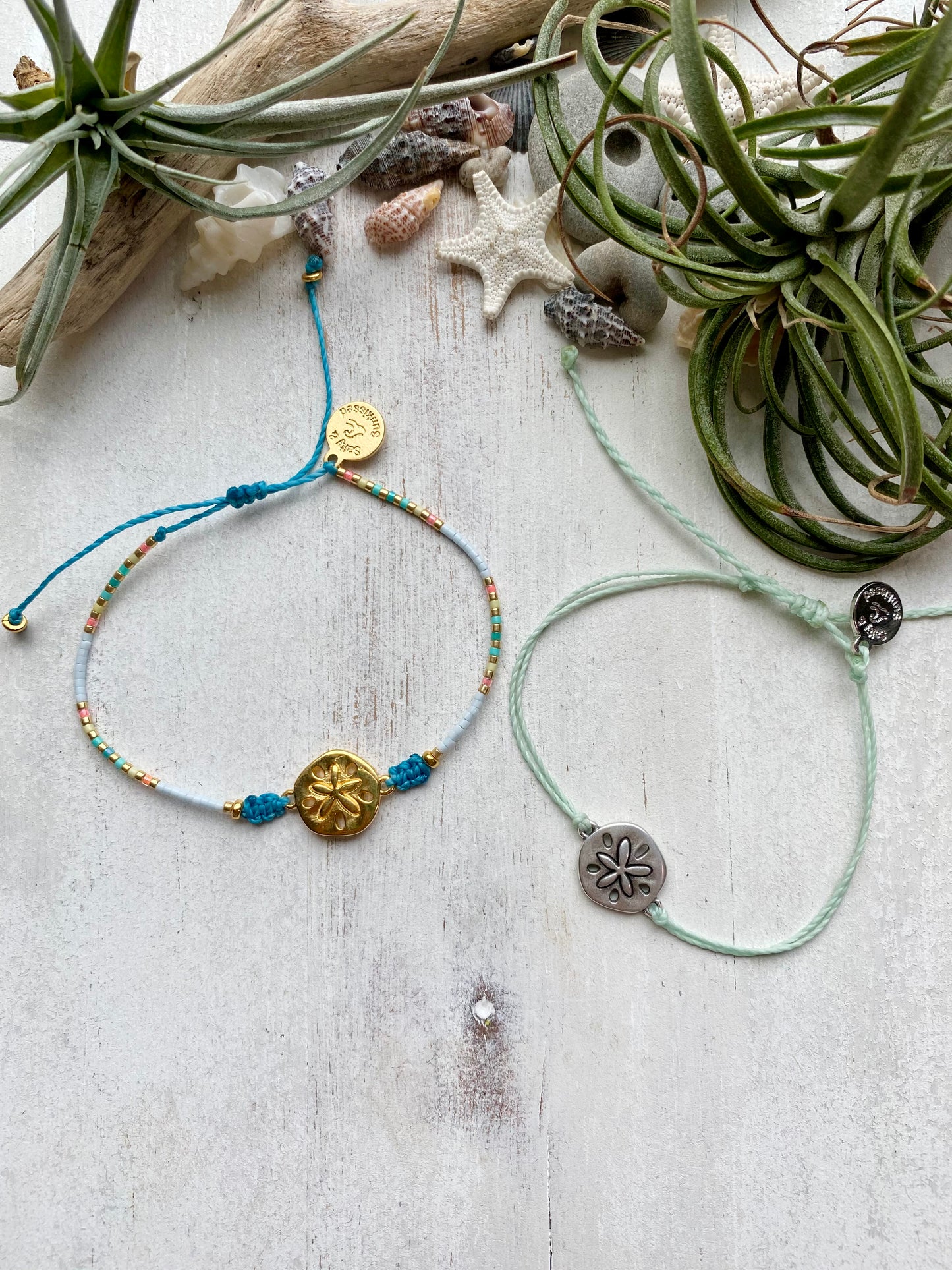 Sand dollar bracelet