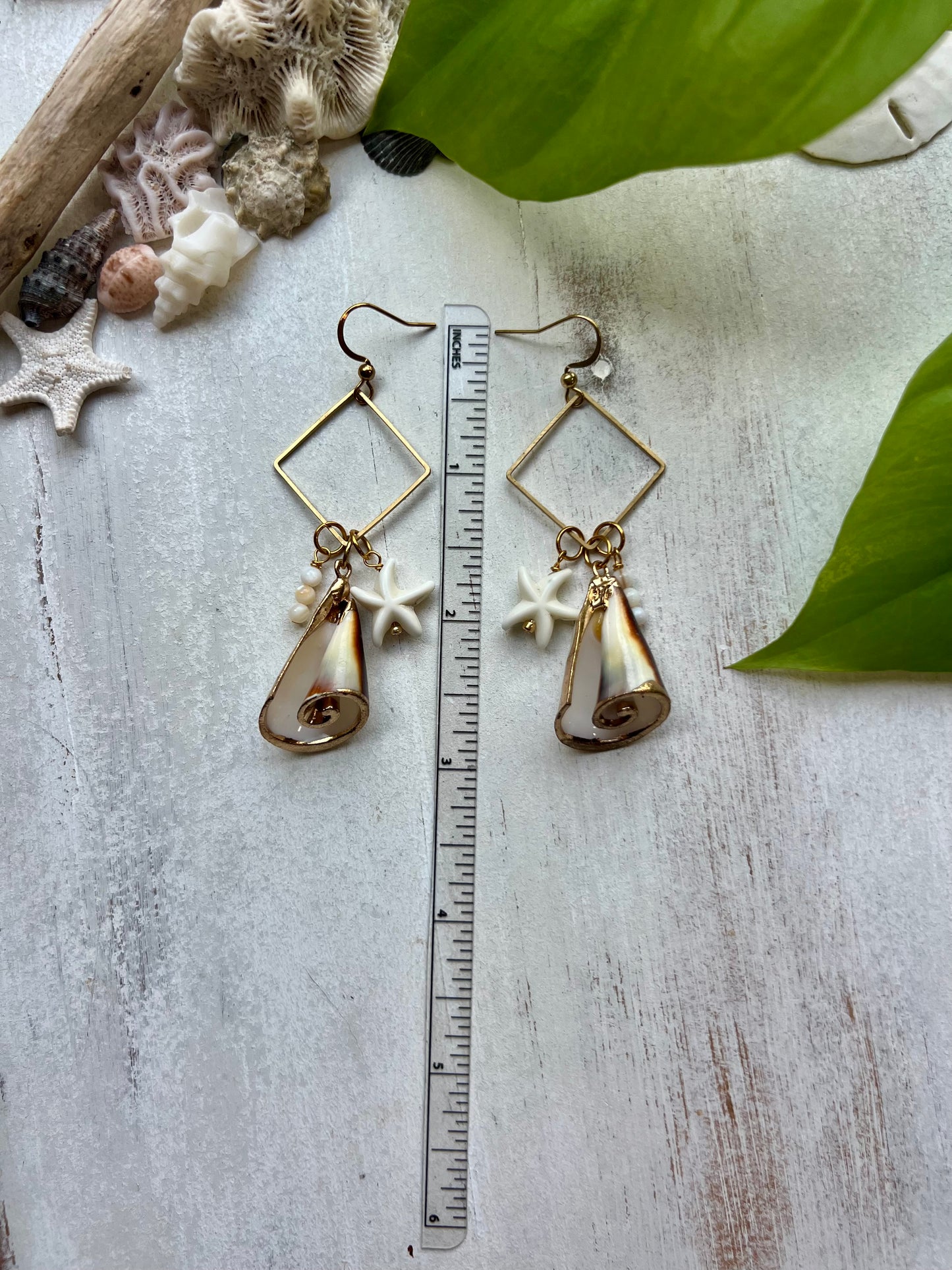 Cone Shell Earrings