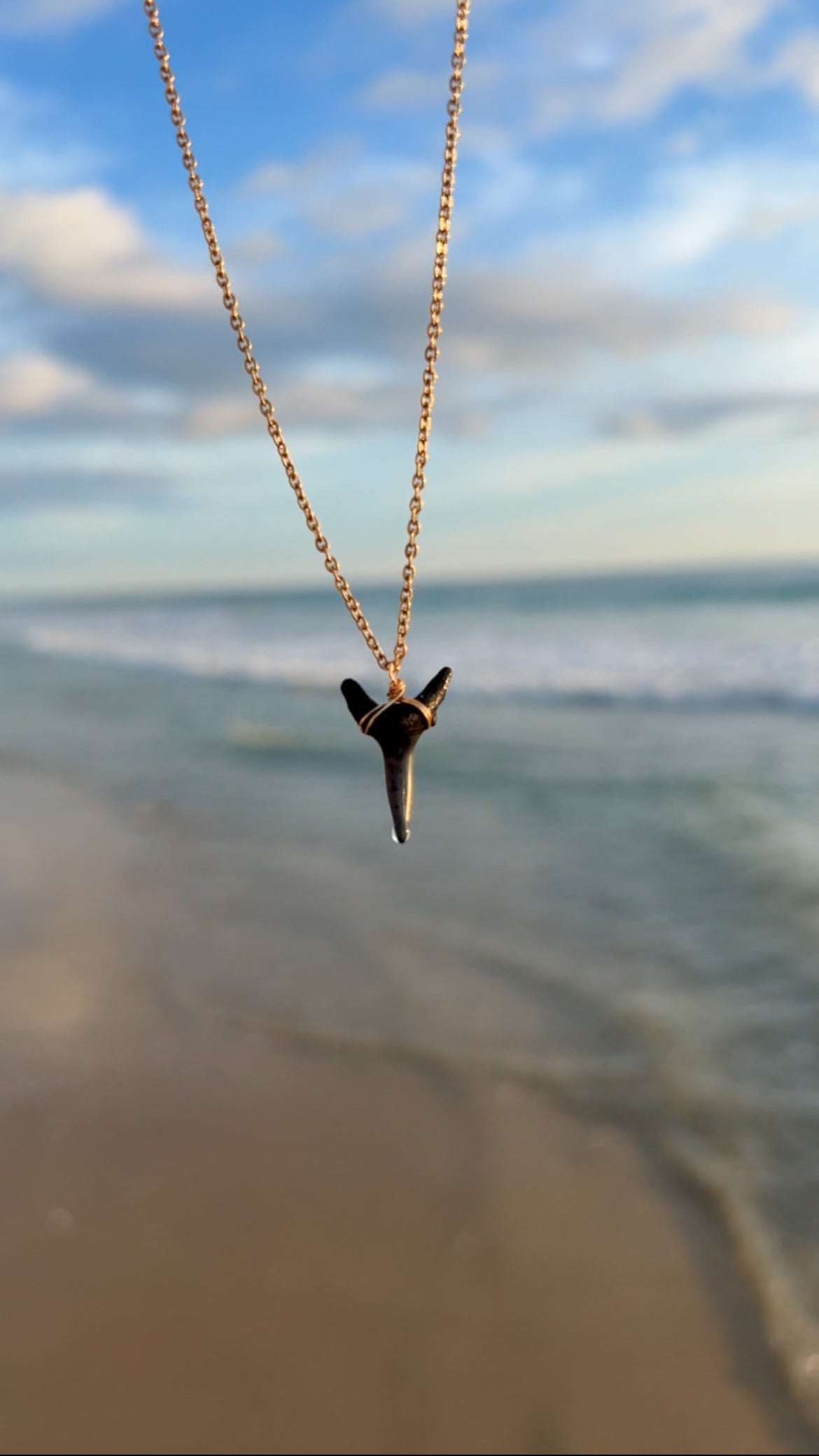 Fossilized shark tooth necklace