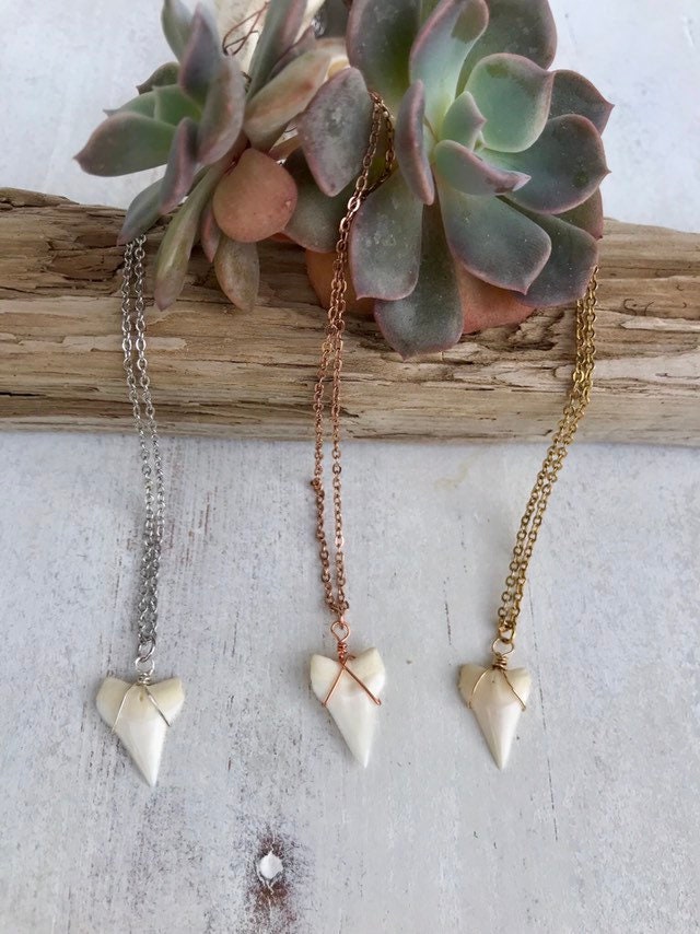 Genuine Shark tooth necklace