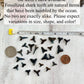 Fossilized shark tooth necklace