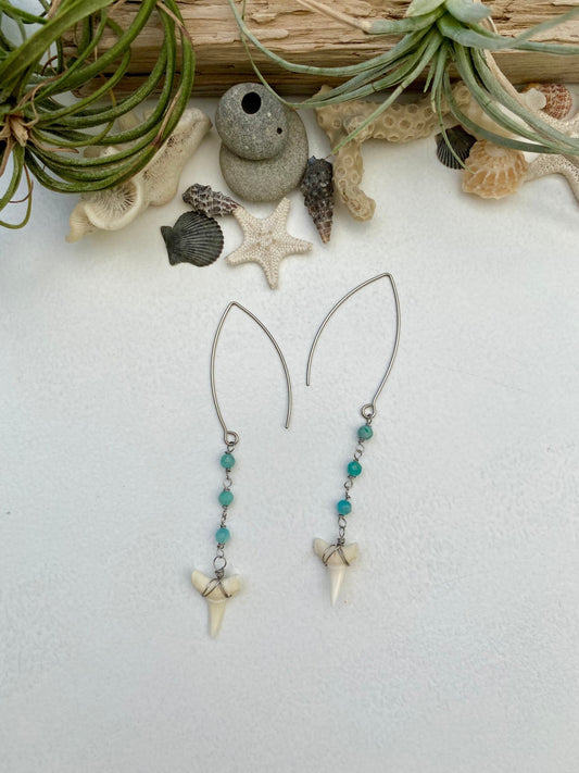 Genuine shark tooth earrings with wire wrapped Amazonite gemstones