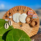 Mother of Pearl Shell & Gold Sun Earrings